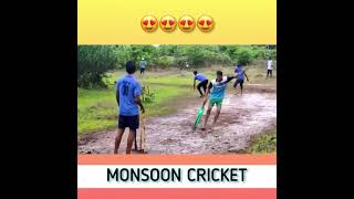 Rain Cricket