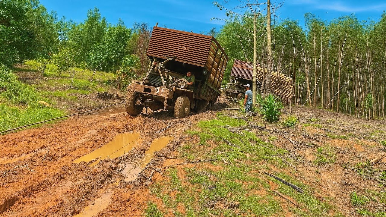 Xe Độ Chở Gỗ Bị Mắc Lầy Kêu Xe Cứu Cả Hai Xe Bị Dính Vào