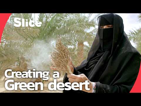 The Bedouins of Liwa: From Nomadic Tribes to Oasis Farmers | SLICE
