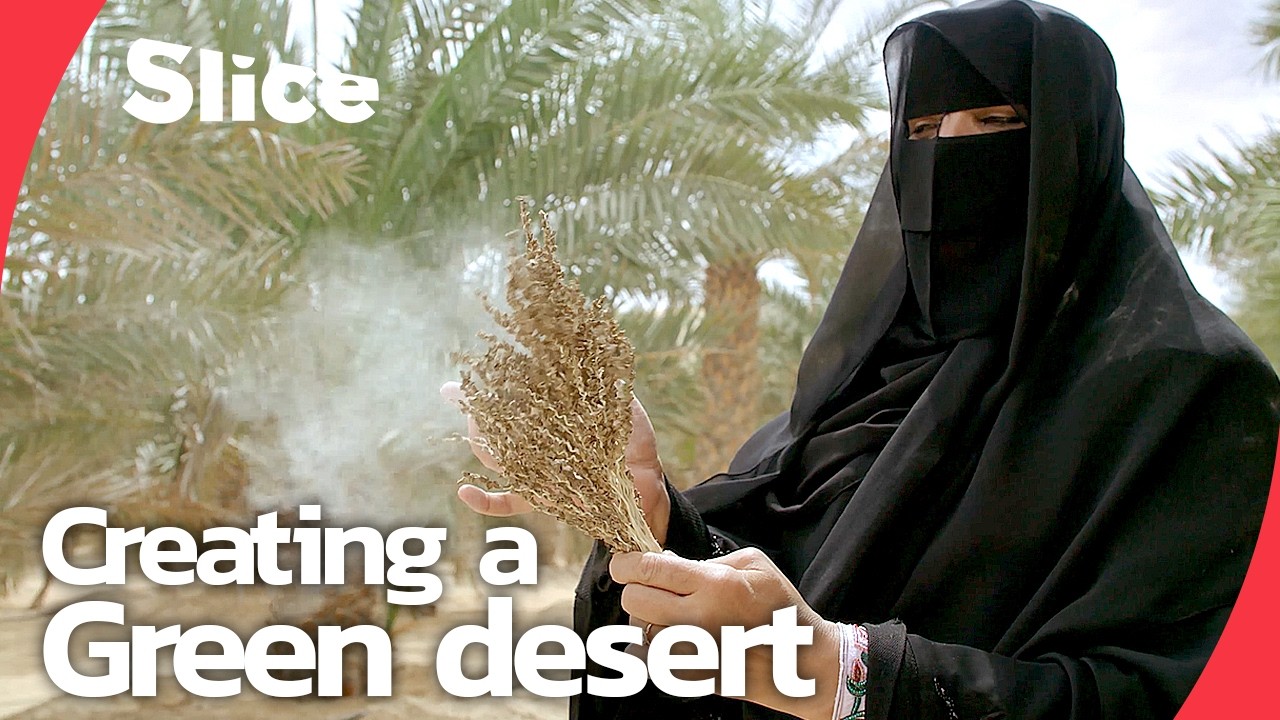 The Bedouins of Liwa: From Nomadic Tribes to Oasis Farmers