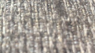 A Random Livestream Test
