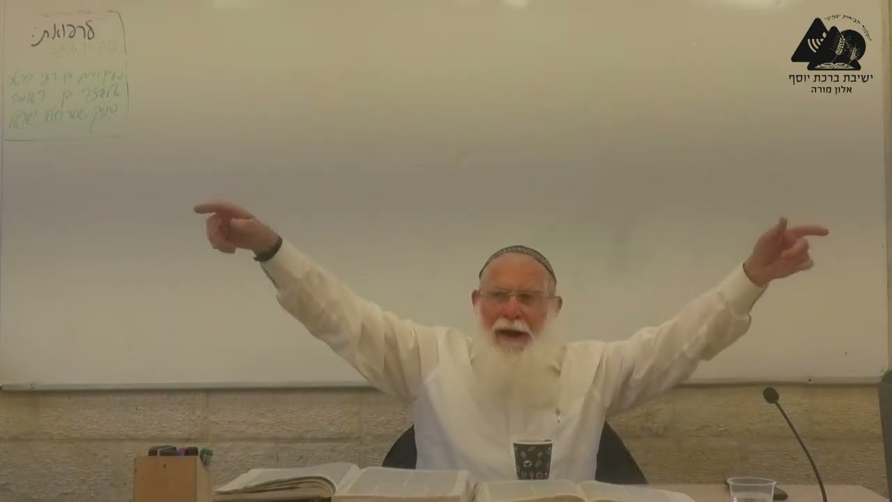 רפואה על ידי נכרי ושאר דינים | הרב אליקים לבנון | הלכות שבת תשפ"ב | 22
