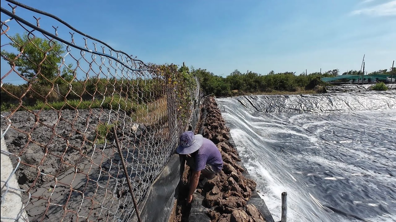 earthen shovels cover the pond. đào đất ém bạt ao,
