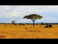 Unmasking east africas fascinating climate  equator