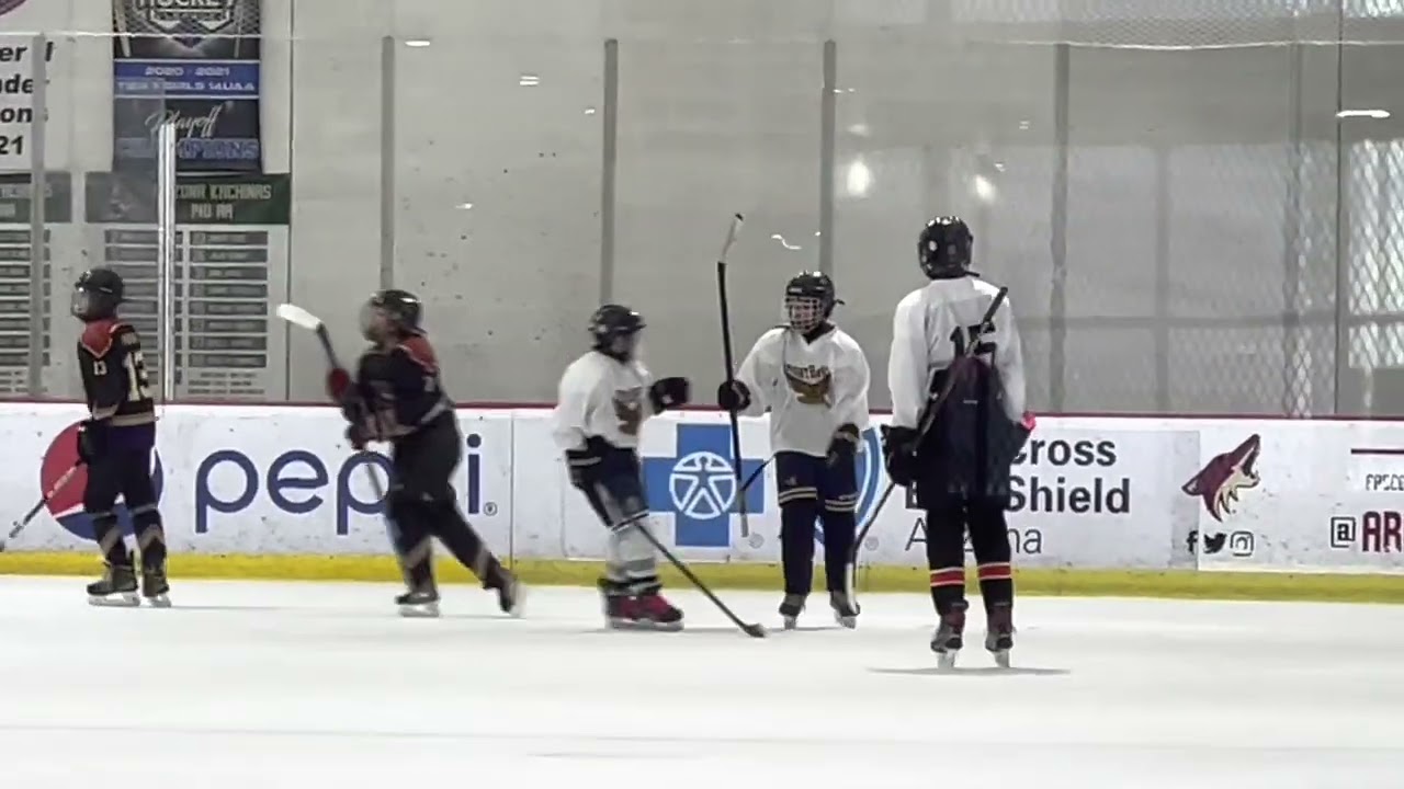 SUMMER LEAGUE HOCKEY - BANTAM NIGHTHAWKS - BATTLE IN THE DESERT APRIL 29 - MAY 1, 2022