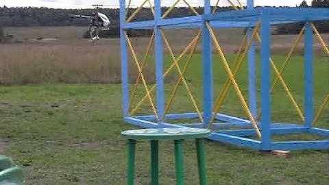 Obstacle Course / Foresta Tropicana / T-Rex 450 / 1 - Crash