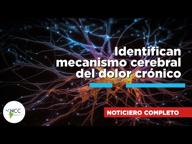 Identifican mecanismo cerebral del dolor crónico | 879 | 6 al 12 de julio de 202