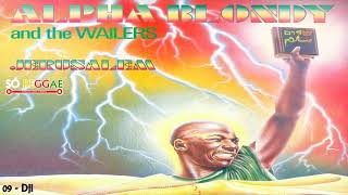 09   Dji ( ALPHA BLONDY )