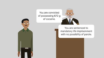 Harmelin v. Michigan Case Brief Summary | Law Case Explained