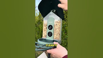 The Beako Smart Feeder Ad I Created for Kiwibit