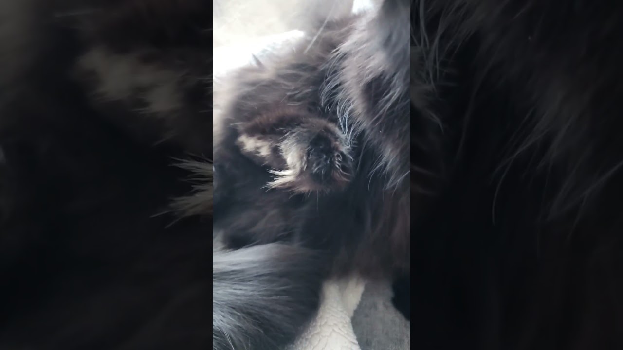 У кого так же? 🤣