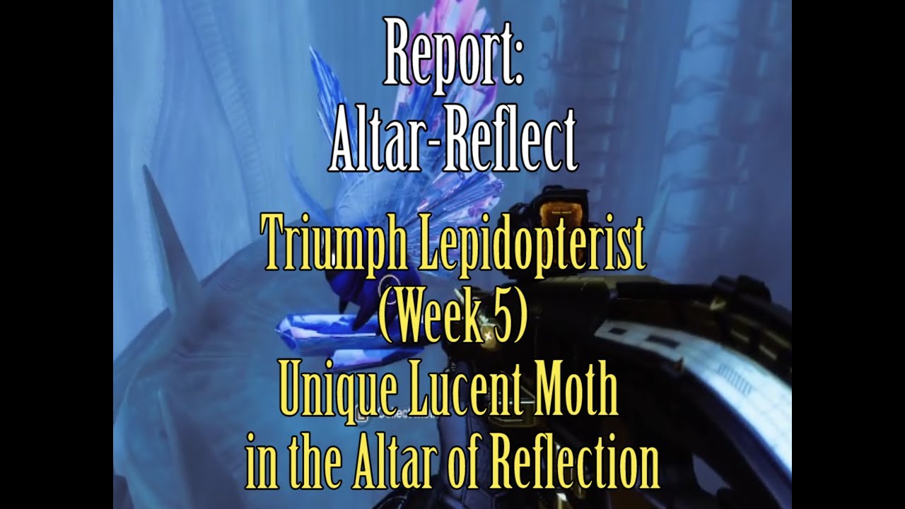 Unique Lucent Moth in the Altar of Reflection