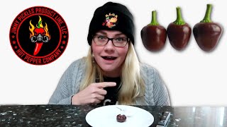 Cherry Chocolate Pepper Review
Cherry Chocolate Pepper Review
Subscribe - https://www.youtube.com/beyondseattleeats
Instagram - https://www.instagram.com/beyondseattleeats
Blog - http://www.beyondseattleeats.com/
Jimmy Pickles: https://jppepperseeds.com
https://www.youtube.com/user/jimmypickles1
Music:
https://www.bensound.com
After reading more about this pepper online I am pumped. That also might be due to the insane amounts of caffeine I had prior. Youll see...
About Me:
Hi, Im Katie. The Worlds Okayest Competitive Eater. I live in the US, in the beautiful state of Washington. Im a non-profit worker, a wife, and a mother of two wonderful people. We have two adorable tiny dogs, and I love to eat. I particularly love spicy foods. Im so grateful to get to share my passions with you all through this channel. Please share with your friends and family. xoxo Cherry Chocolate Pepper Review