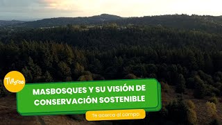 Masbosques y su visión de conservación sostenible - TvAgro por Juan Gonzalo Angel Restrepo by TvAgro 719 views 3 days ago 26 minutes