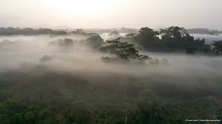 Economics of Nature: Mapping Liberiaโs Ecosystems to Understand Their Value