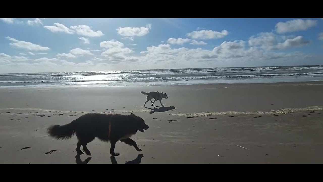 Fort Mahon plage - beach