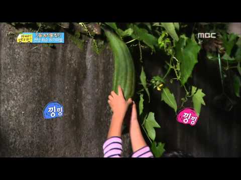 혼자서도 왕 수세미 딴 똑쟁이 준수, #10, 일밤 20131013