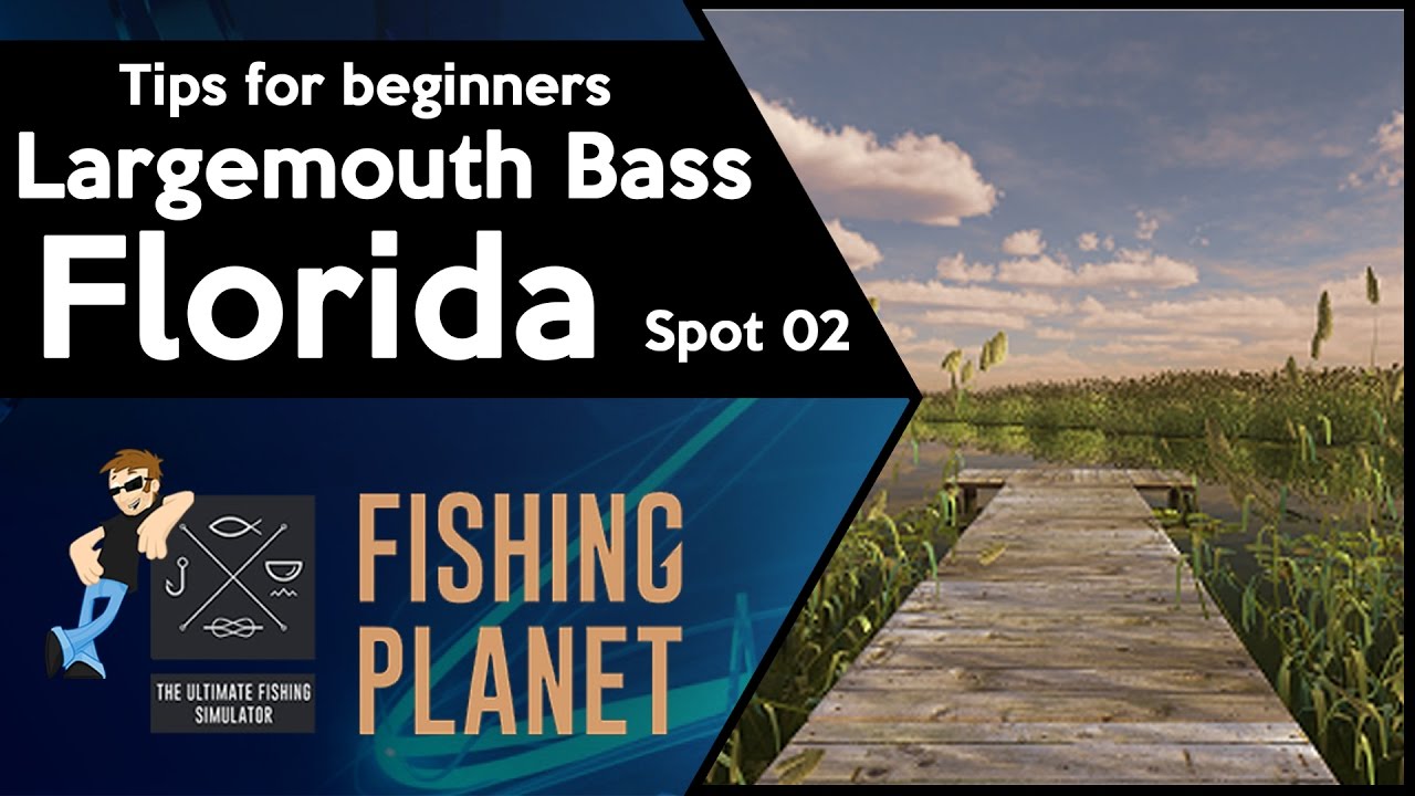 Fishing Planet - Tips for beginners - Largemouth Bass (Florida) - YouTube