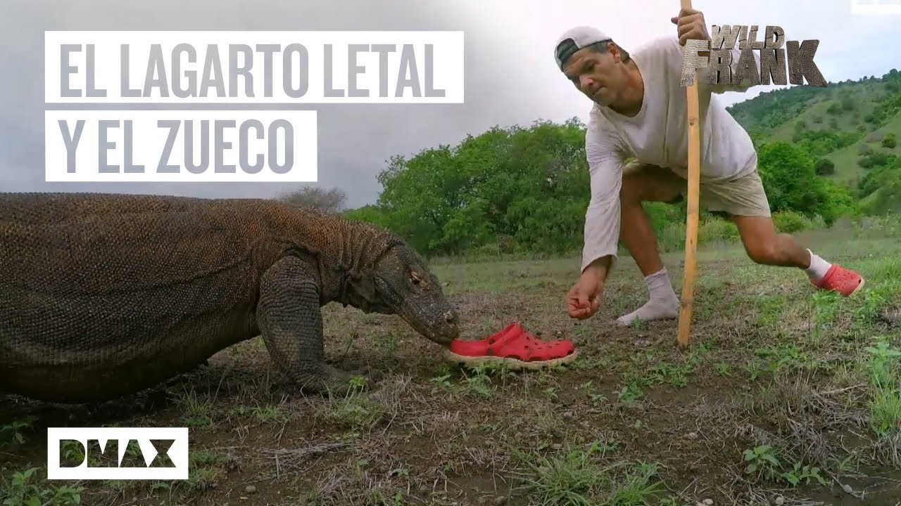 Wild Frank se la juega frente a los dragones de Komodo | Wild Frank