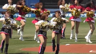 M☆Splash!!,MDA,東北ゴールデンエンジェルス,楽天イーグルスチア