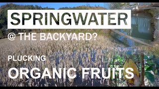 Visiting My Village After 10 Years Miracle Spring Manipur Series Ep. 6