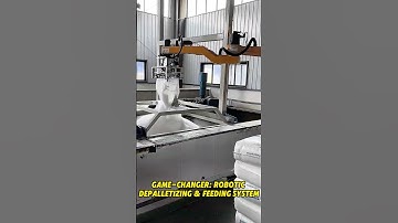 Game-Changer Robotic Depalletizing & Feeding System 😎 #depalletizing #automation #palletizer #Robot