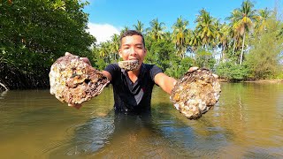 Giant Oysters Found At Mangrove - Wilderness Food