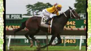 Rachel Alexandra Proves Fillies Rule