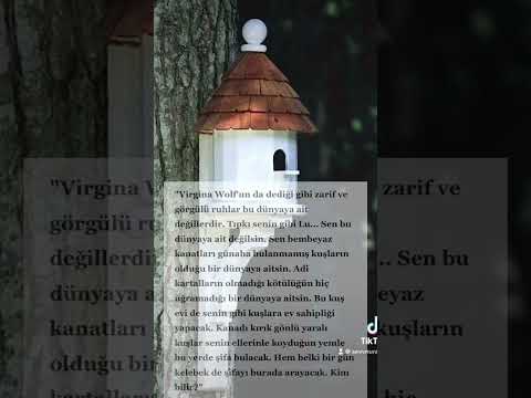 Wattpad - Kelebek Mezarlığı (alıntı)