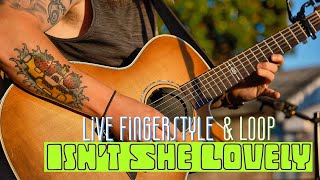 Isn't She Lovely (live fingerstyle / loop pedal)