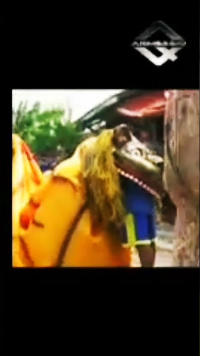 barongan makan ORANG PBRC Macan Putih. #shorts  #kesenian #barongan #kendal