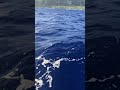 グアム ロタ島 東村船長 かんなぎ浮上。ディープライナースローピッチ  スロージギング