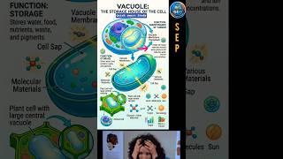 Vacuole: The Storage House of the Cell | Biology for Students #Shorts #biologyeducation