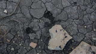 The Town That Stood Up To Coal