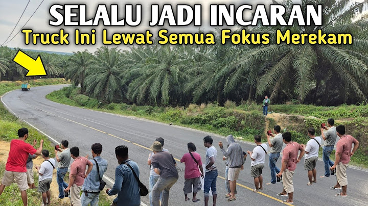 Selalu Jadi Incaran‼️Truck Ini Lewat Semua Fokus Merekam