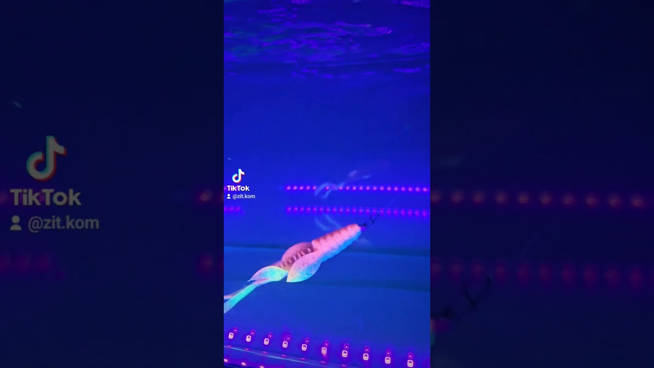 ‪@molix_official‬