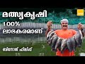 Padutha Kulam Malayalam |Tilapia Meen Valarthal | KERALA FISH FARMING MALAYALAM | Tilapia Fish Farm