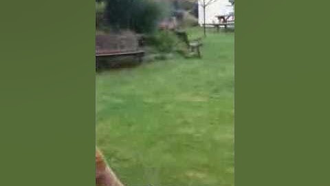 how to do a stick grind with a Diablo