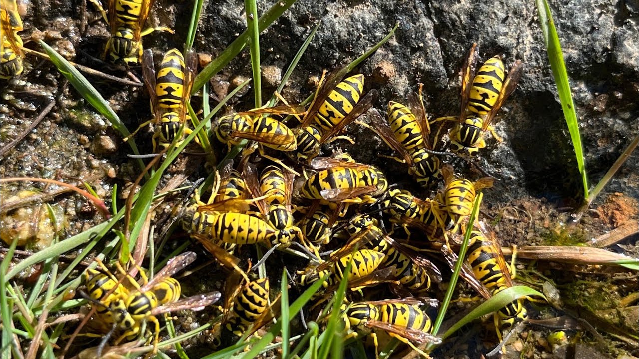 A very popular drinking spot