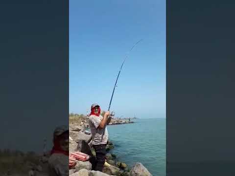 ماهیگیری صیدماهی کپورباقلاب