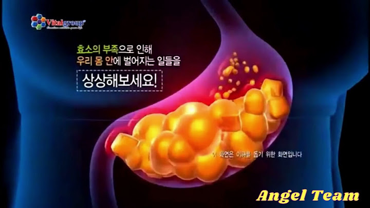 Vai trò của enzim là gì