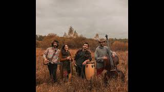 Gaja - Pieśni Które Niesie Las