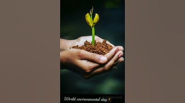 world environmental day | restore our earth | best environmental bay 5 June | whatsapp status video