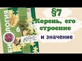 Краткий пересказ §7 Корень, его строение и значение. Биология 6 класс Пономарева