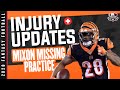 2020 Fantasy Football - Week 7 Injury Updates - Does Joe Mixon Play?