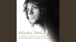 Delam Tange - Alireza Gharaei Manesh
