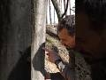 Buchenwasser zapfen #shortvideo #gesundesleben #gesundheit #buchen #wissen #wissenswert