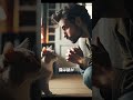 絶対に猫を飼ってはいけない人の特徴5選！ #動物 #雑学 #猫　#shorts