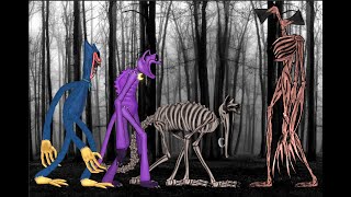Catnap, Huggy Wuggy Nightmare vs Siren Head. Animation dc2
