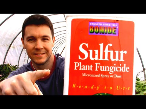 Video: Sulfur checker – účinný prostředek k hubení škůdců